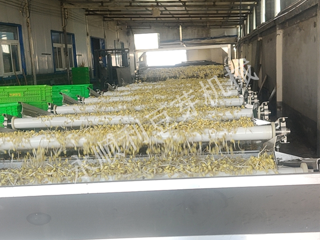 米禾孙总日产80吨豆芽菜生产线