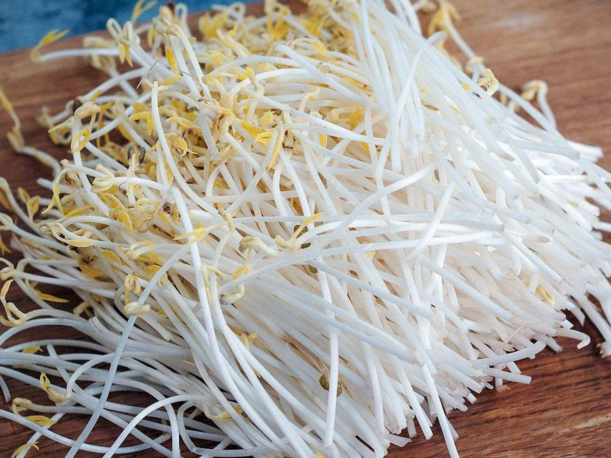 豆芽机提醒您常吃绿豆芽能减肥